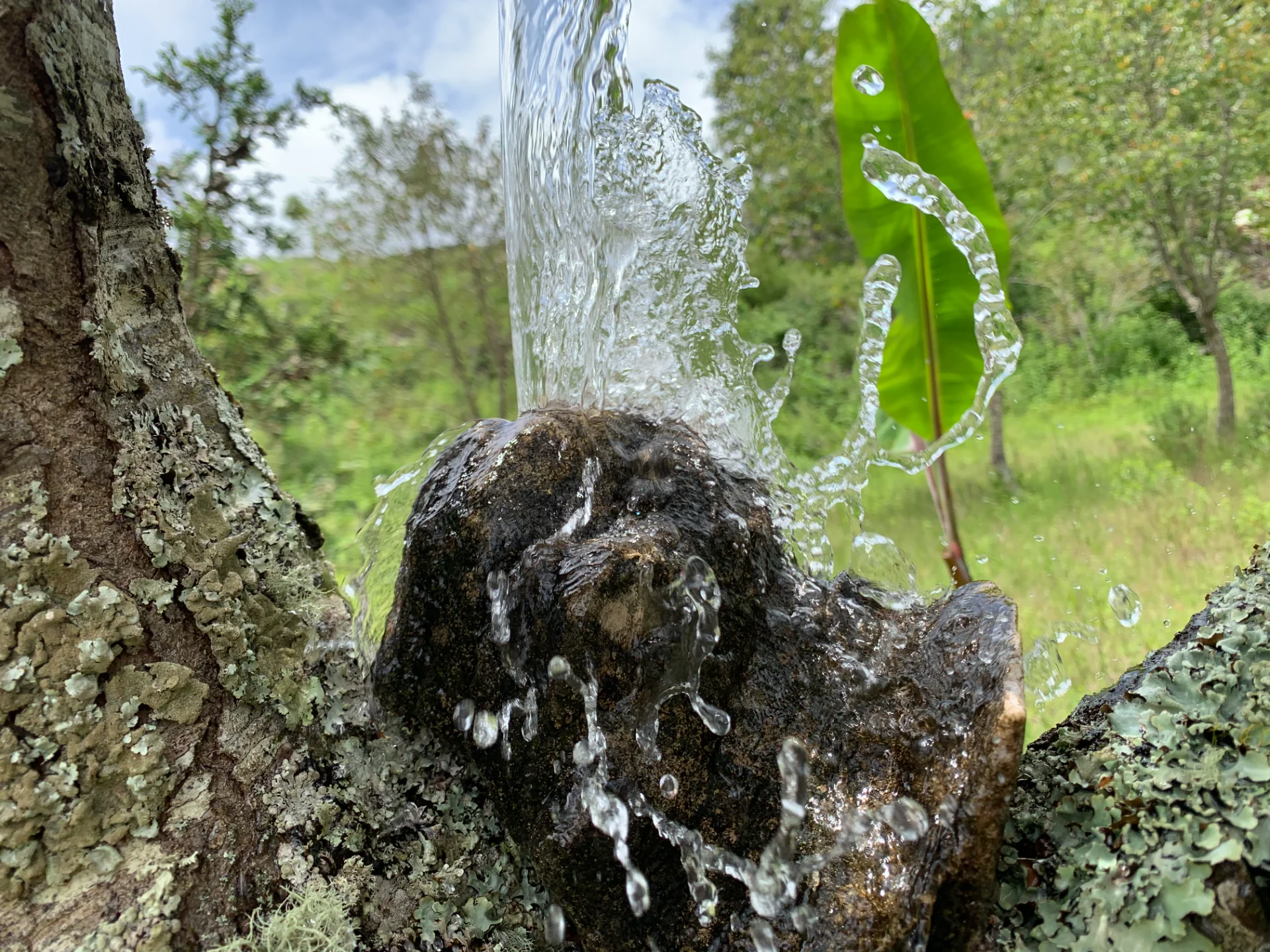 Meditación con agua